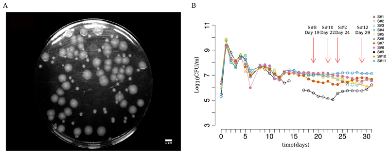 Fig 1