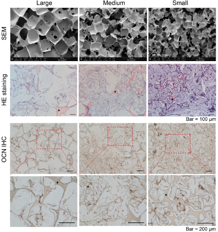 Fig. 9