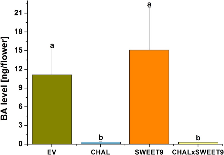 Figure 2—figure supplement 2.