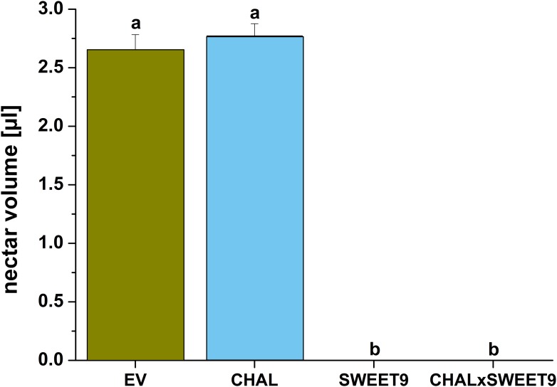 Figure 2—figure supplement 1.