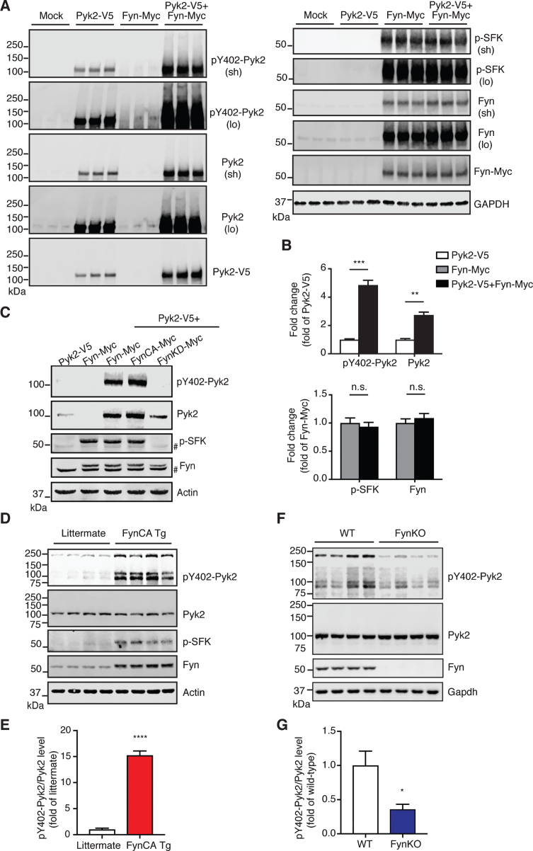 Fig.6