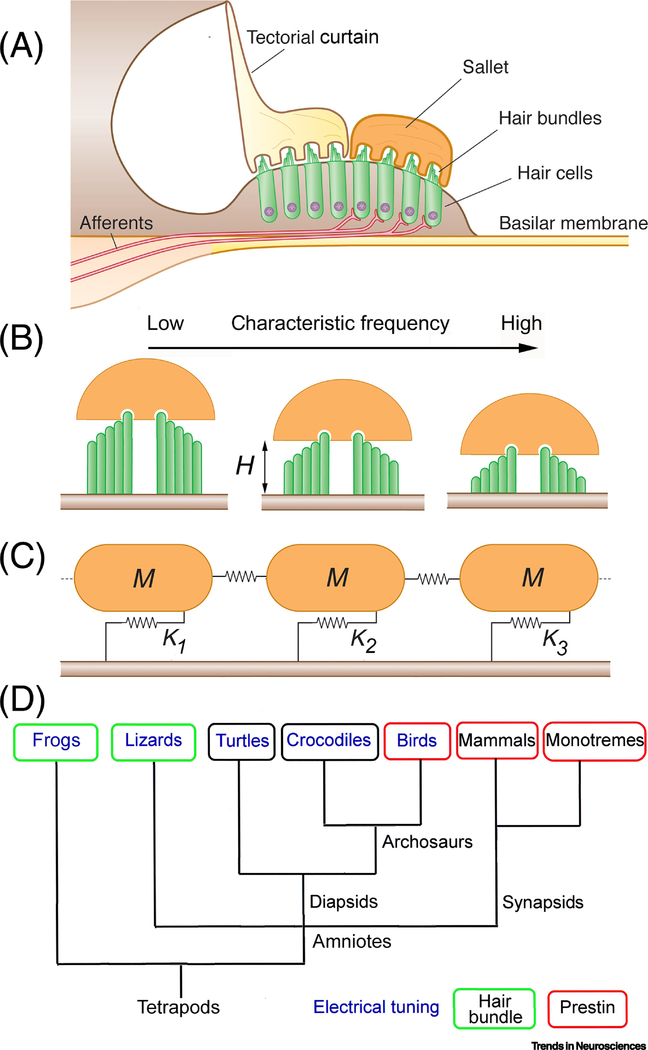 Figure 6.