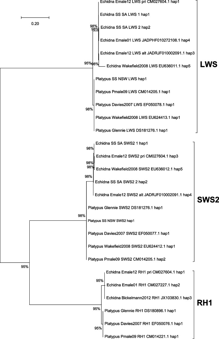 Fig. 1