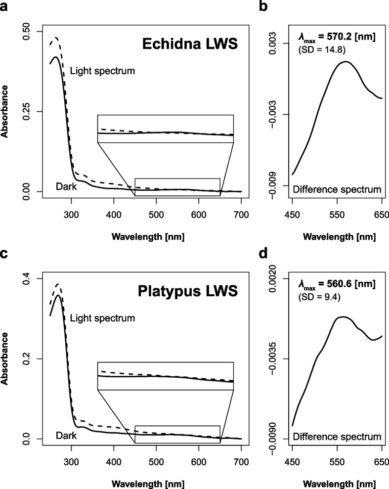 Fig. 3