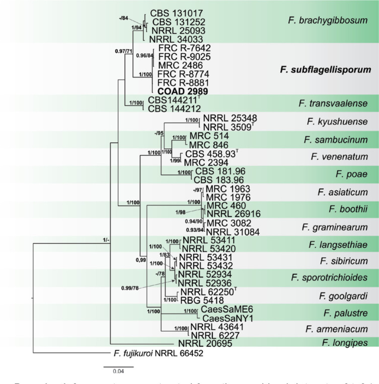 graphic file with name per-2023-47-6-i019.jpg