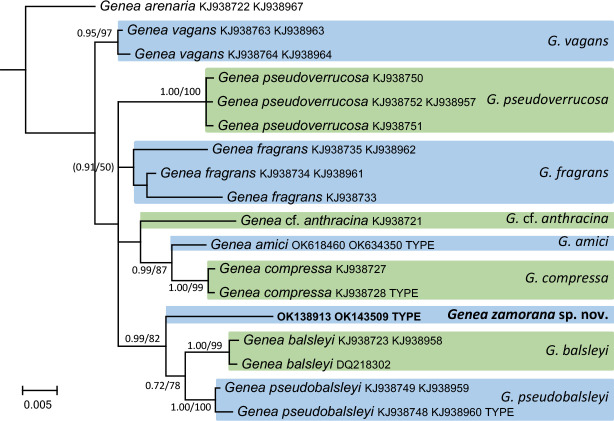 graphic file with name per-2023-47-6-i020.jpg