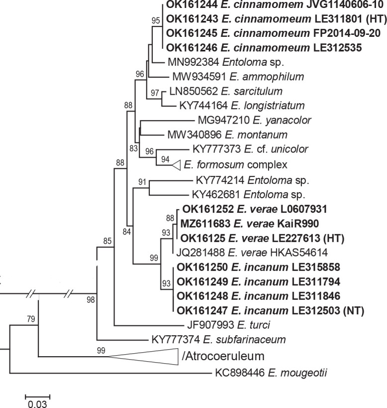 graphic file with name per-2023-47-6-i017a.jpg