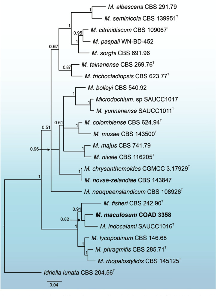 graphic file with name per-2023-47-6-i037.jpg