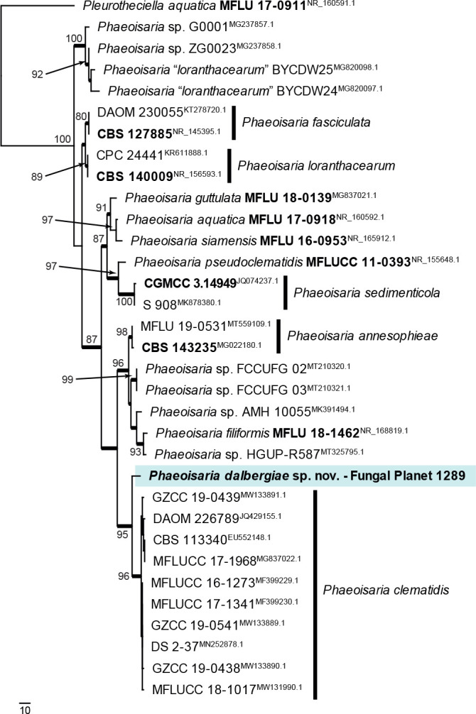 graphic file with name per-2023-47-6-i003.jpg