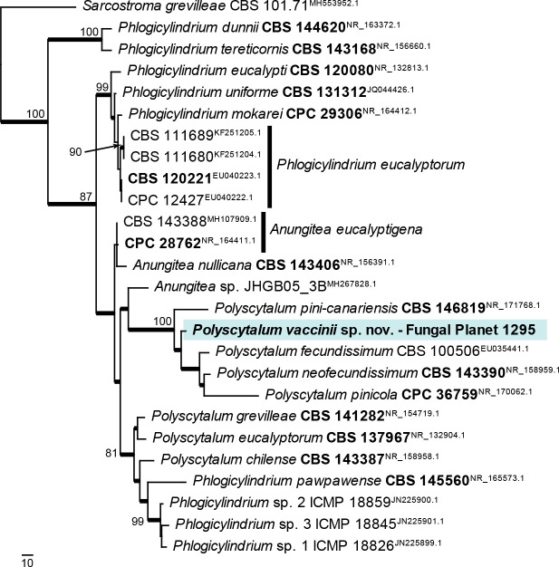 graphic file with name per-2023-47-6-i006.jpg