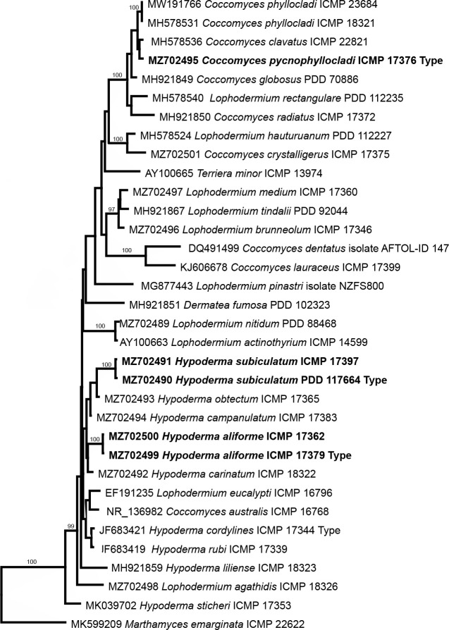 graphic file with name per-2023-47-6-i014.jpg