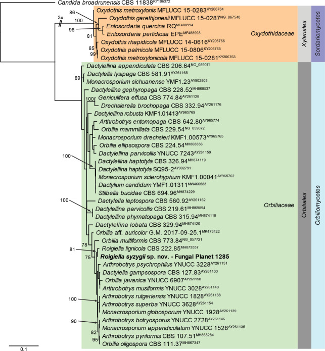 graphic file with name per-2023-47-6-i001.jpg