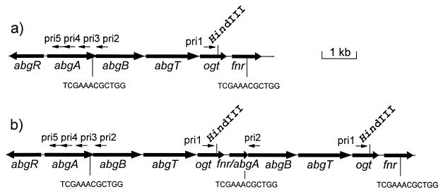 FIG. 5