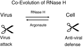 Fig. 8