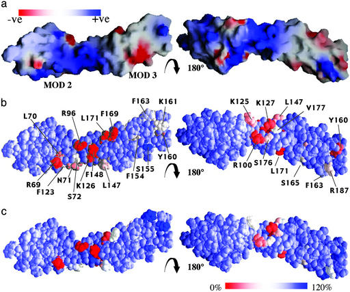 Fig 4.