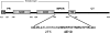 FIG. 1.