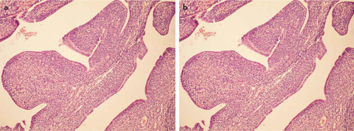 FIG. 3. a, b.