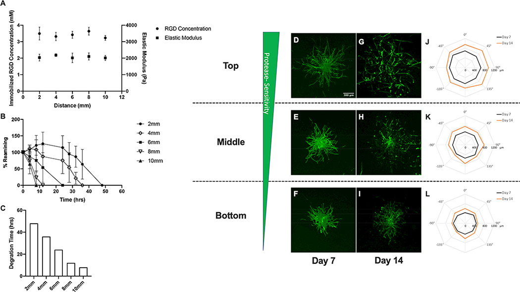 Figure 5: