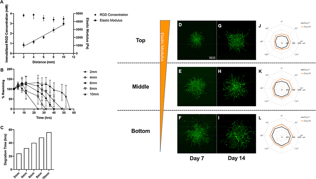 Figure 4: