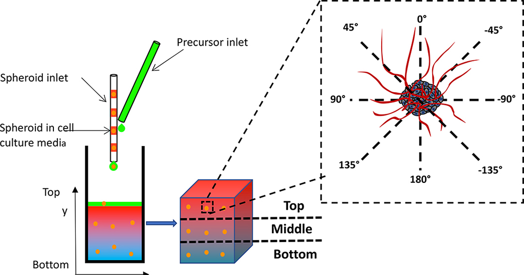 Figure 2: