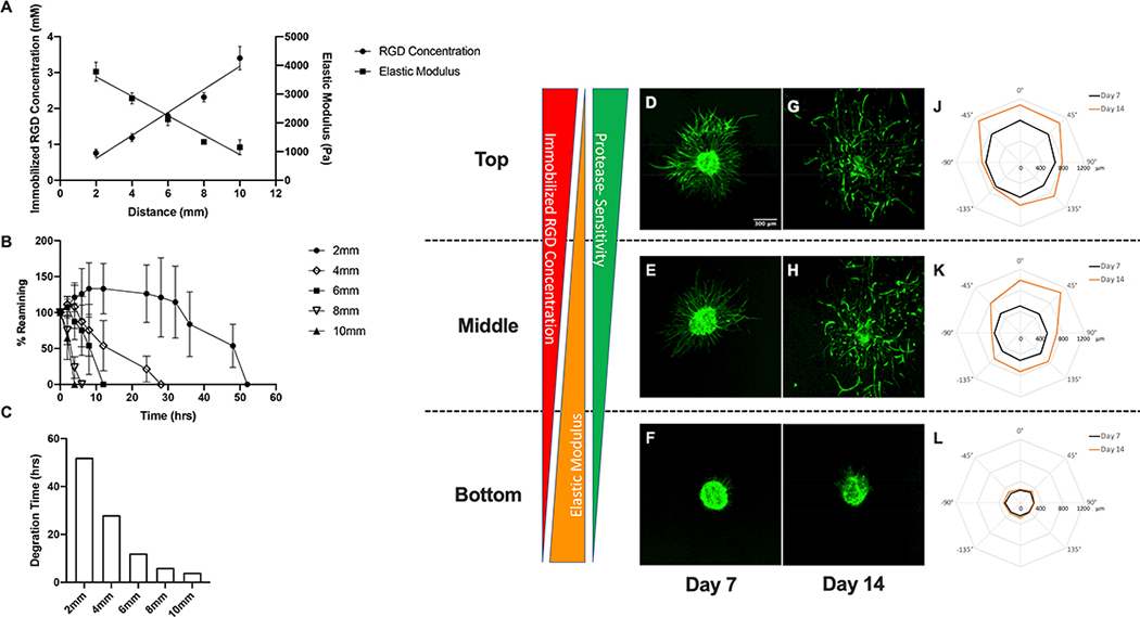 Figure 6: