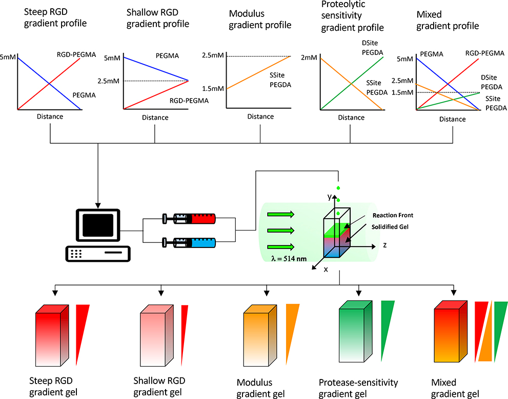 Figure 1: