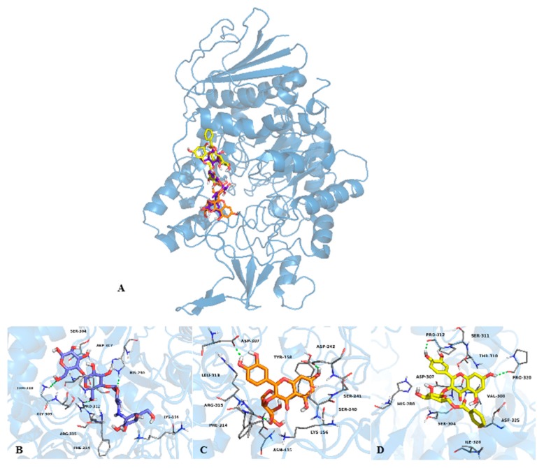 Figure 4