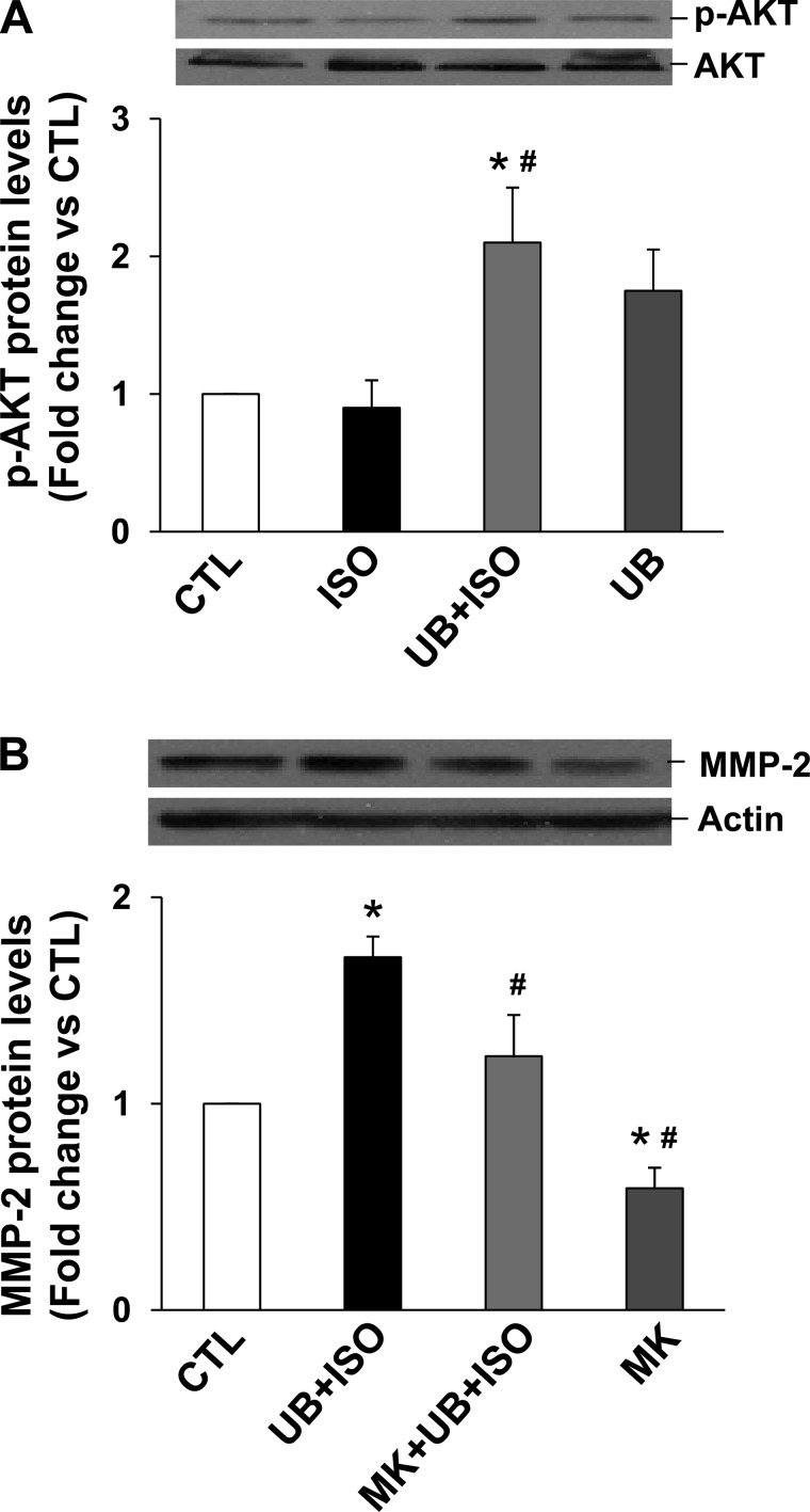 Fig. 9.