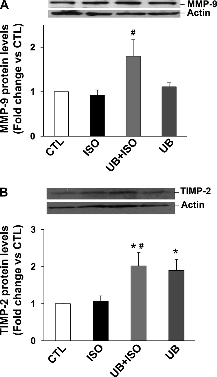 Fig. 8.