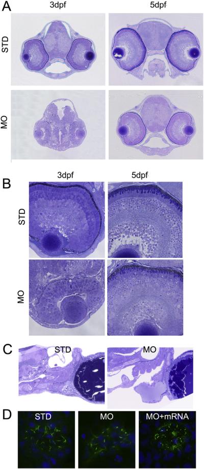 Fig. 4