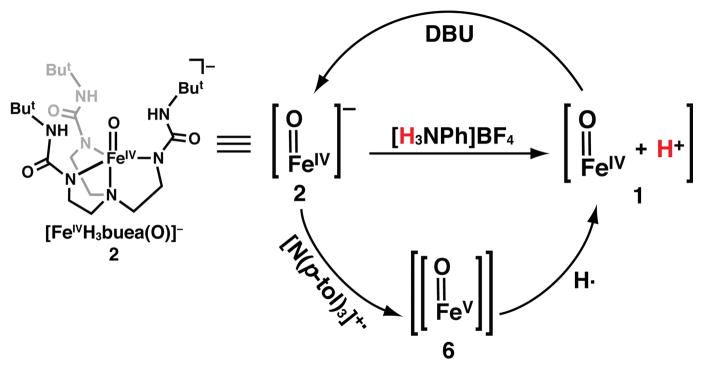 Scheme 2