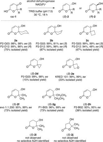Scheme 3