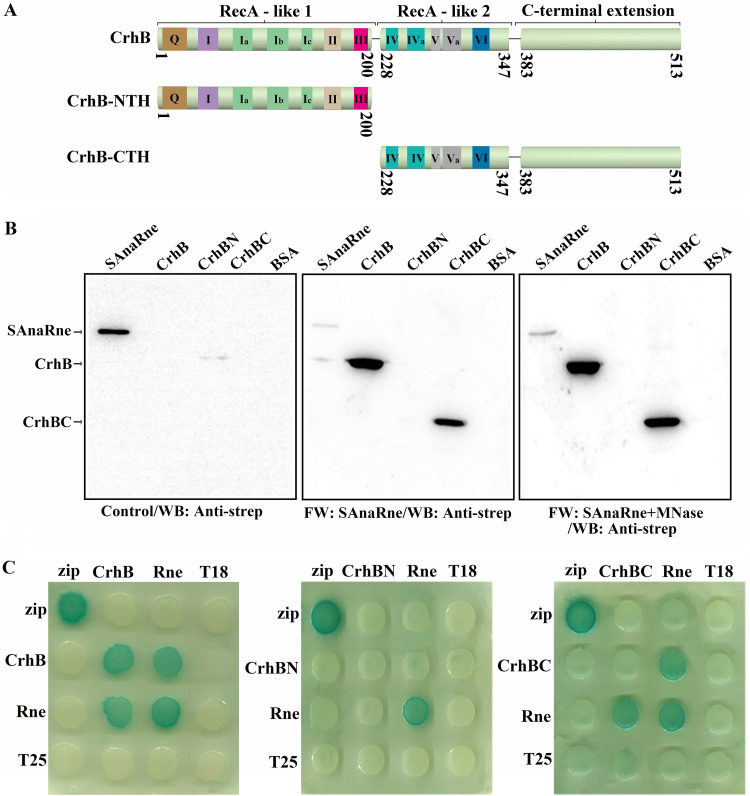 FIG 2