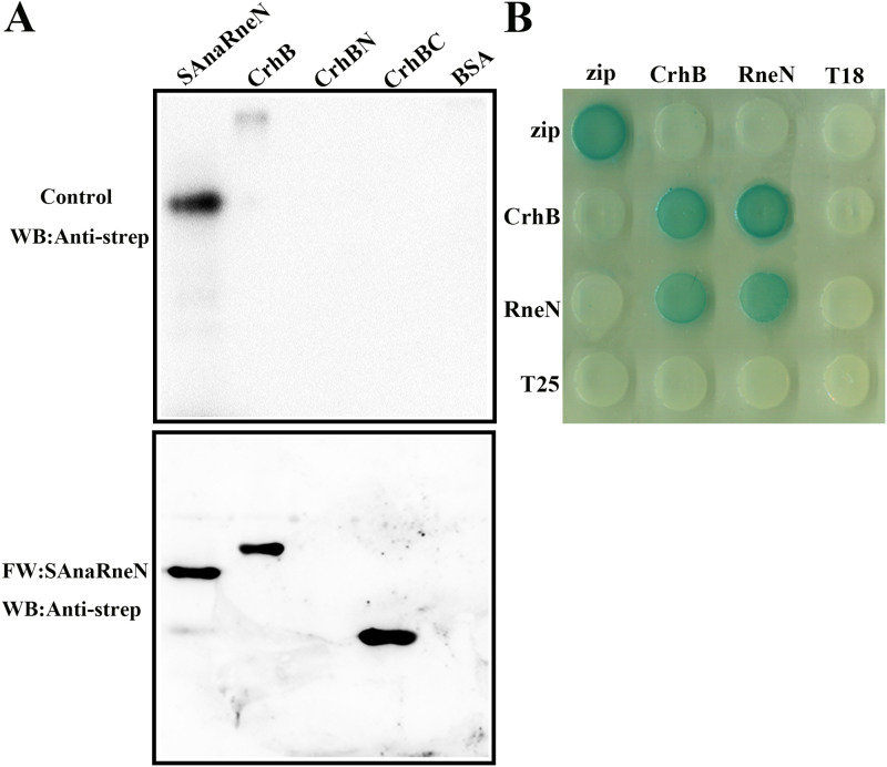 FIG 3