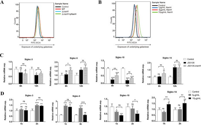 FIG 3