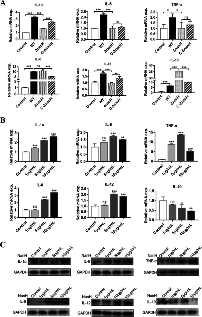 FIG 2