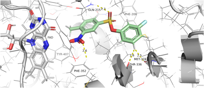 Figure 10