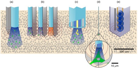 Fig. 7