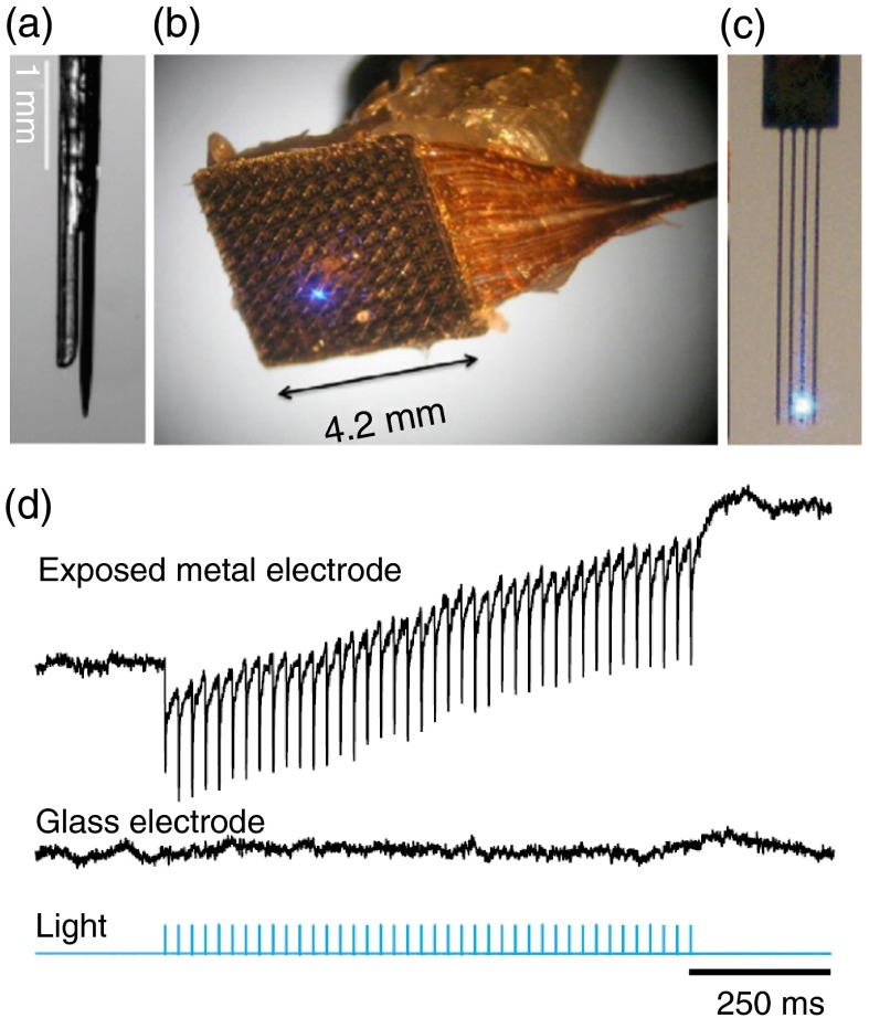 Fig. 3