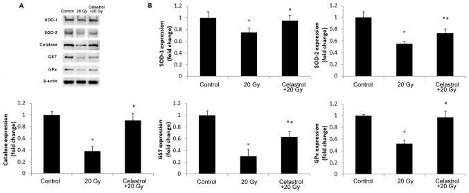 Figure 5.