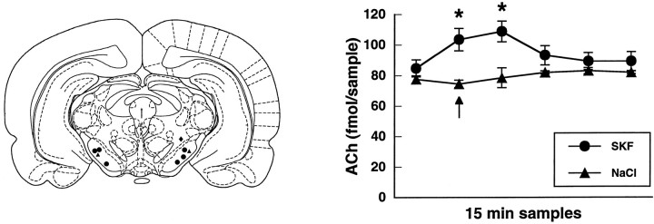 Fig. 2.