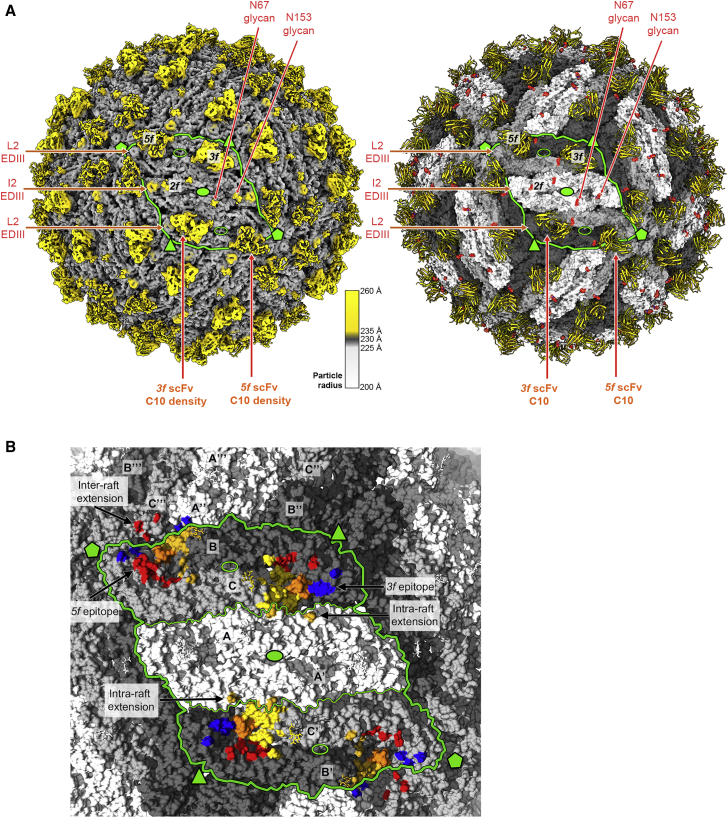 Figure 4