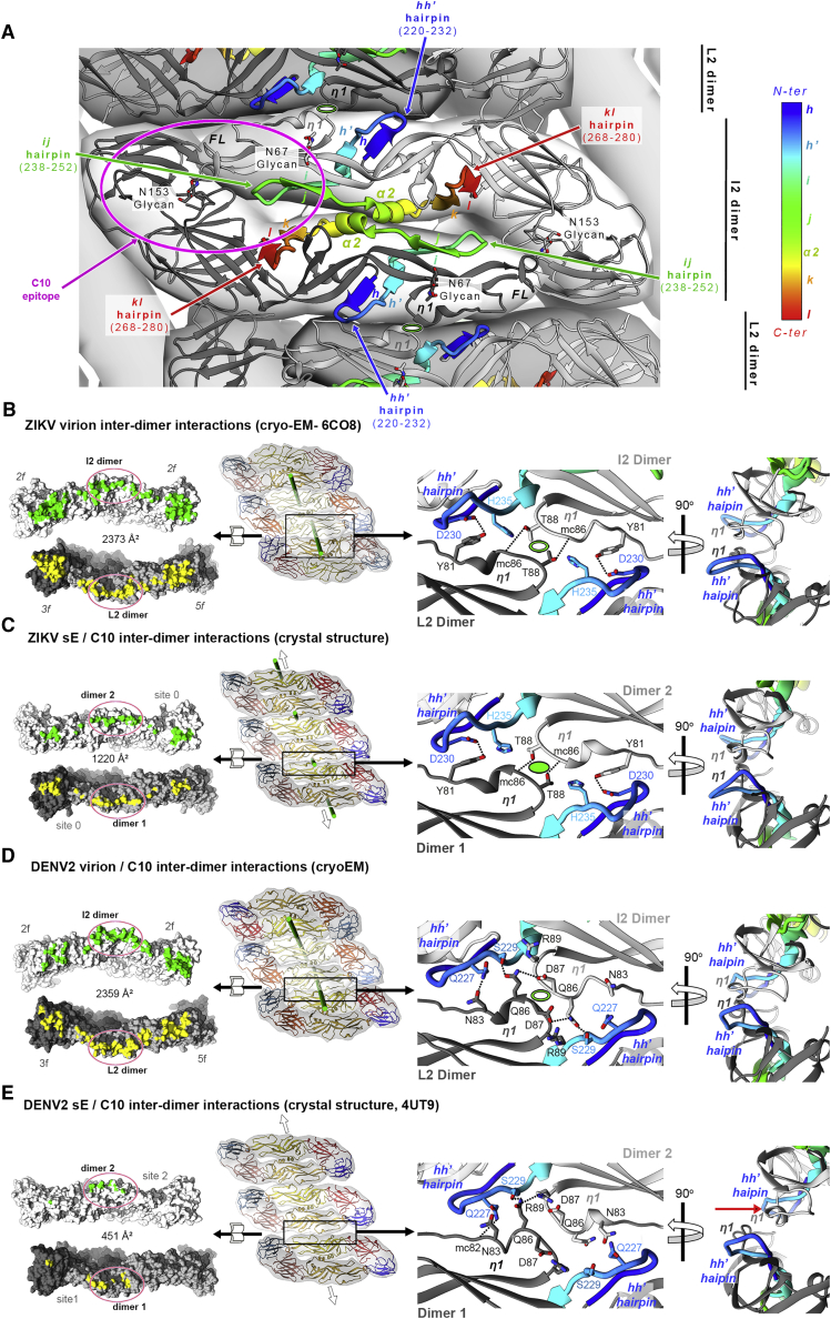 Figure 6