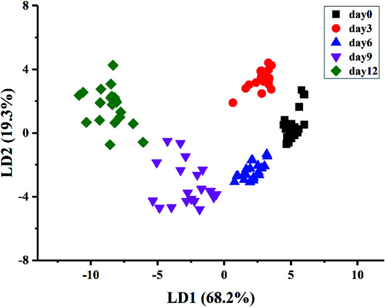 Fig. 4