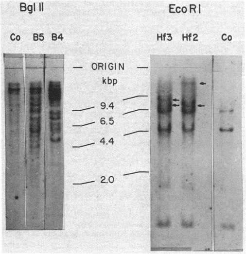 graphic file with name pnas00612-0224-a.jpg