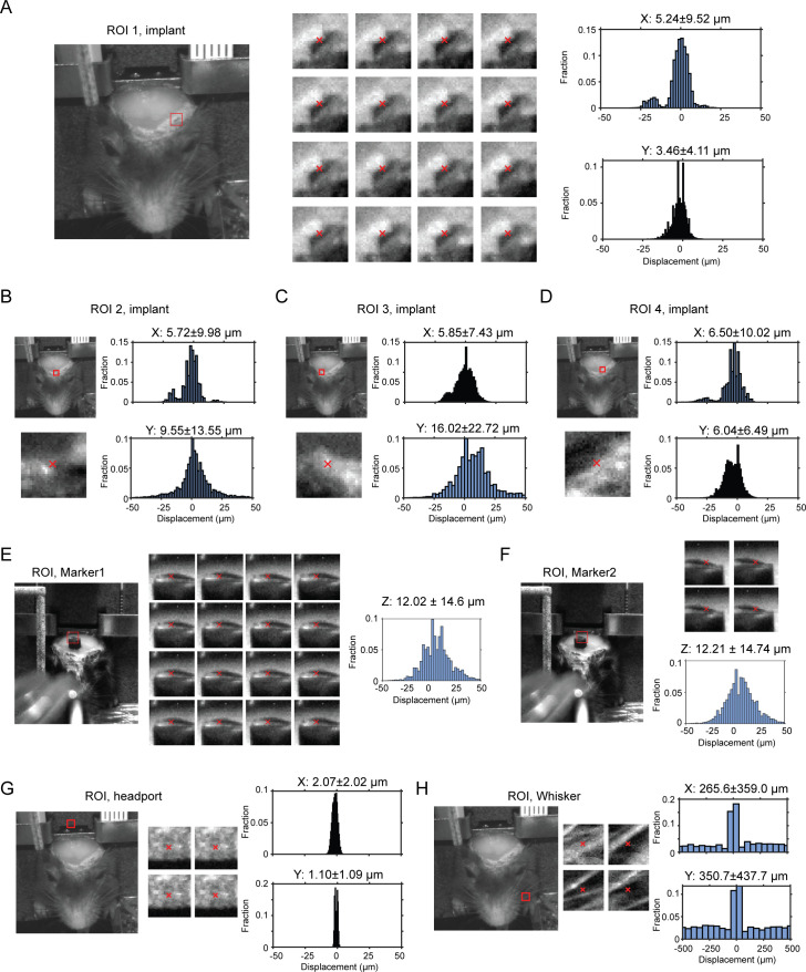 Figure 2—figure supplement 1.