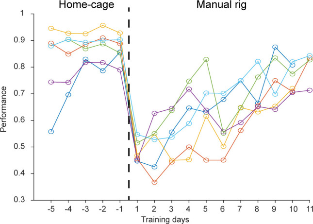 Figure 3—figure supplement 1.