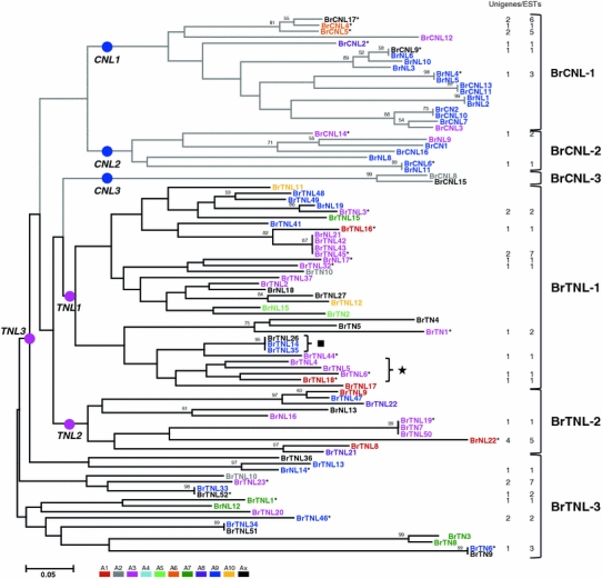 Fig. 2