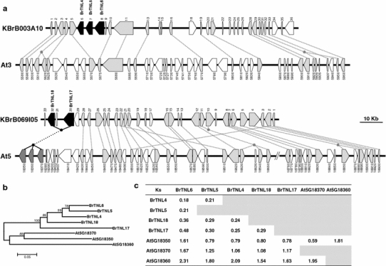 Fig. 4