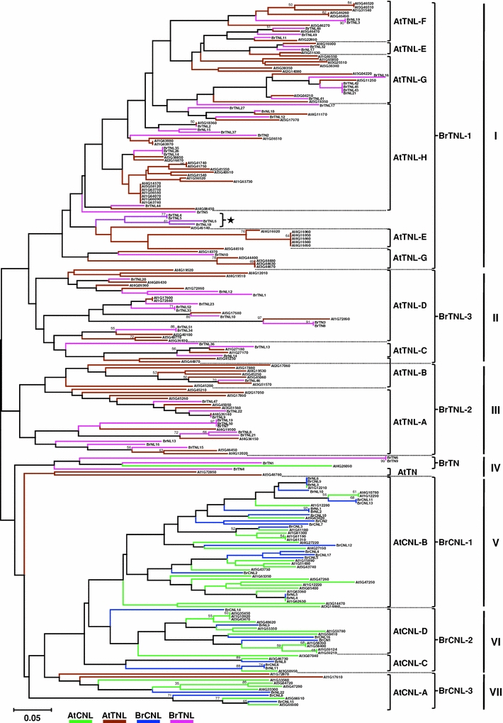 Fig. 3